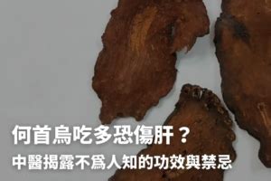 何首烏禁忌|何首烏秋冬進補怎麼吃？醫列功效禁忌＋何首烏藥膳做。